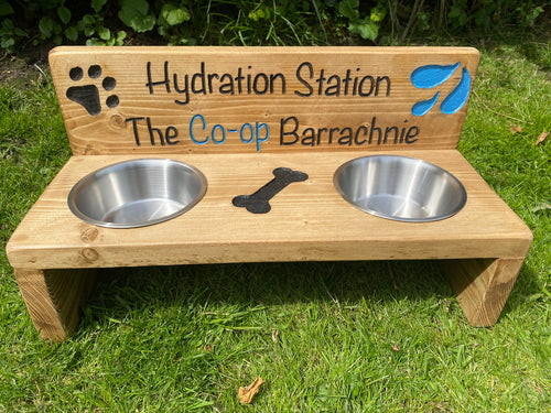 Dog/ Cat Feed and Water Station with Personalised Backsplash