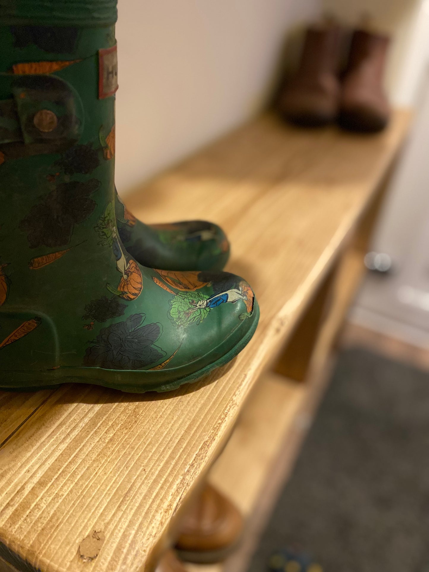 Rustic Boot & Shoe Rack